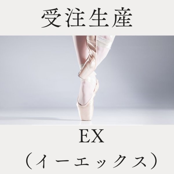 画像1: 【受注生産】 EX（イーエックス） (1)
