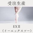 画像1: 【受注生産】 EXII（イーエックスツー） (1)