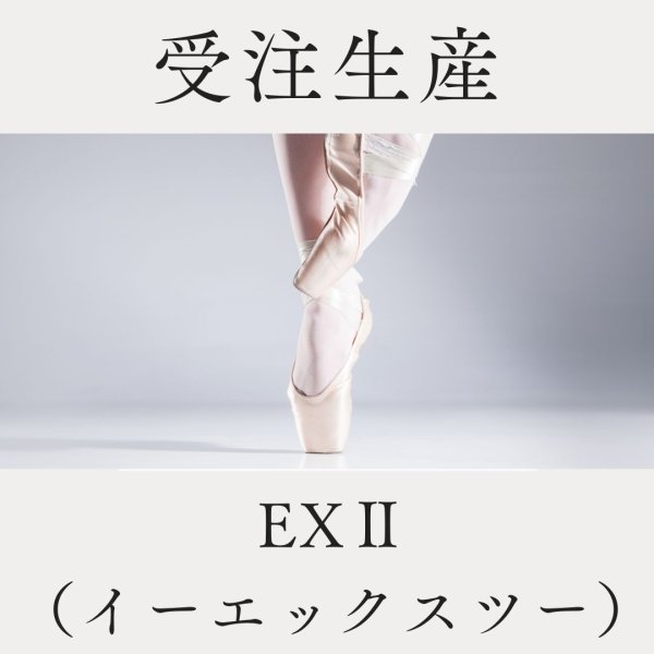 画像1: 【受注生産】 EXII（イーエックスツー） (1)