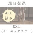 画像1: 【即日発送】加工済み EXII (イーエックスツー) (1)
