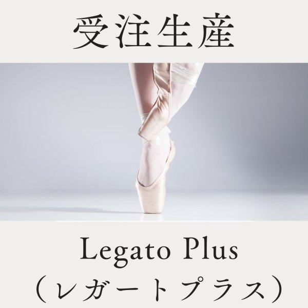 画像1: 【受注生産】 LegatoPlus（レガートプラス） (1)